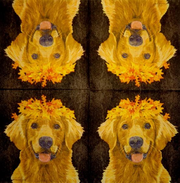 HUN-354 Dogs - 3-ply - ppd - Two Can Art - CS